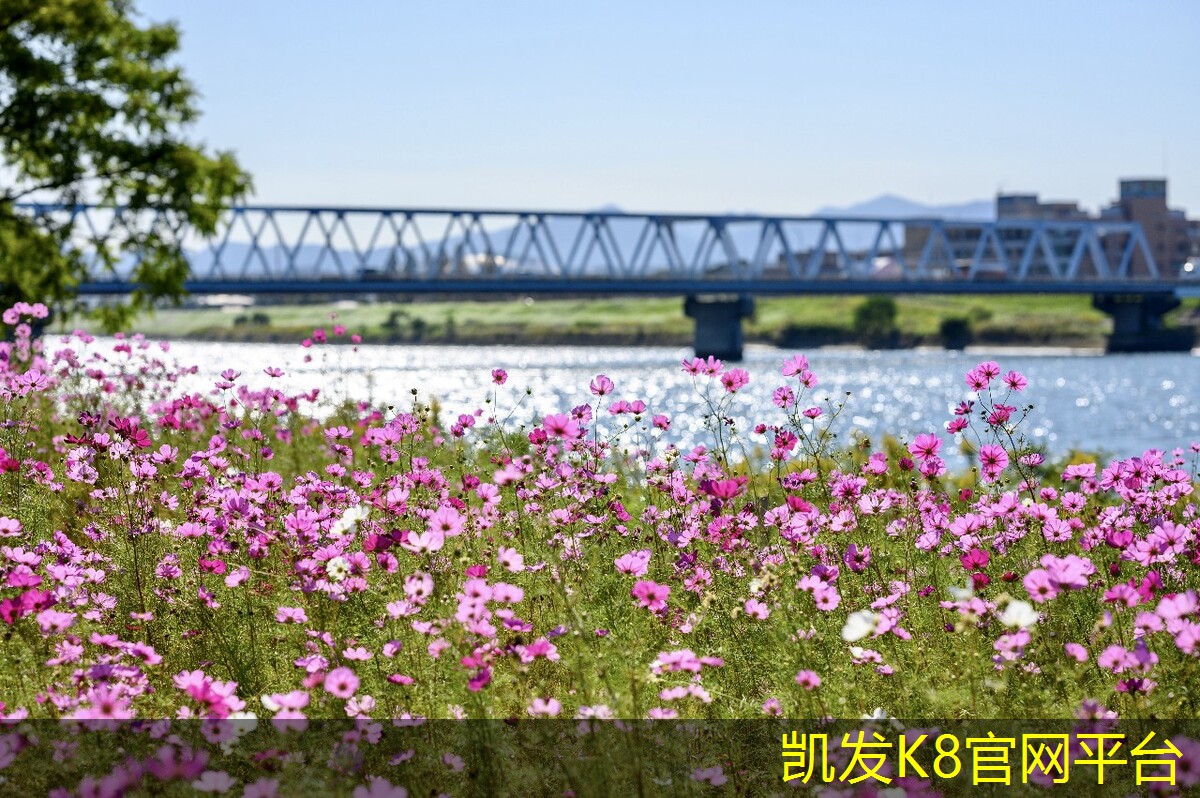  塑胶地板与地砖的优劣对比