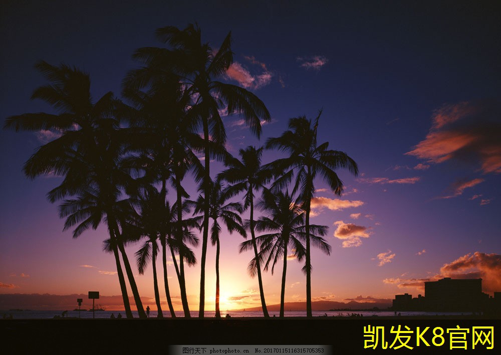  如何选择电梯地胶提升安全性