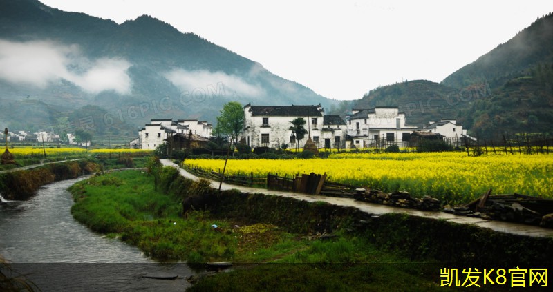  凯发k8国际(中国)官方网站·一触即发提升客厅风格的茶几地毯