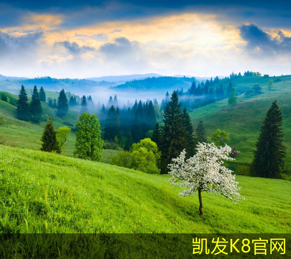  凯发app官网入口橡胶地板的十大优点及应用场景