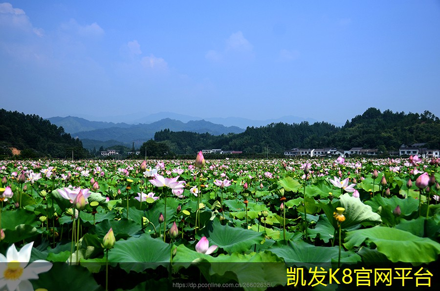 凯发K8官方在线浴室垫的尺寸选择攻略