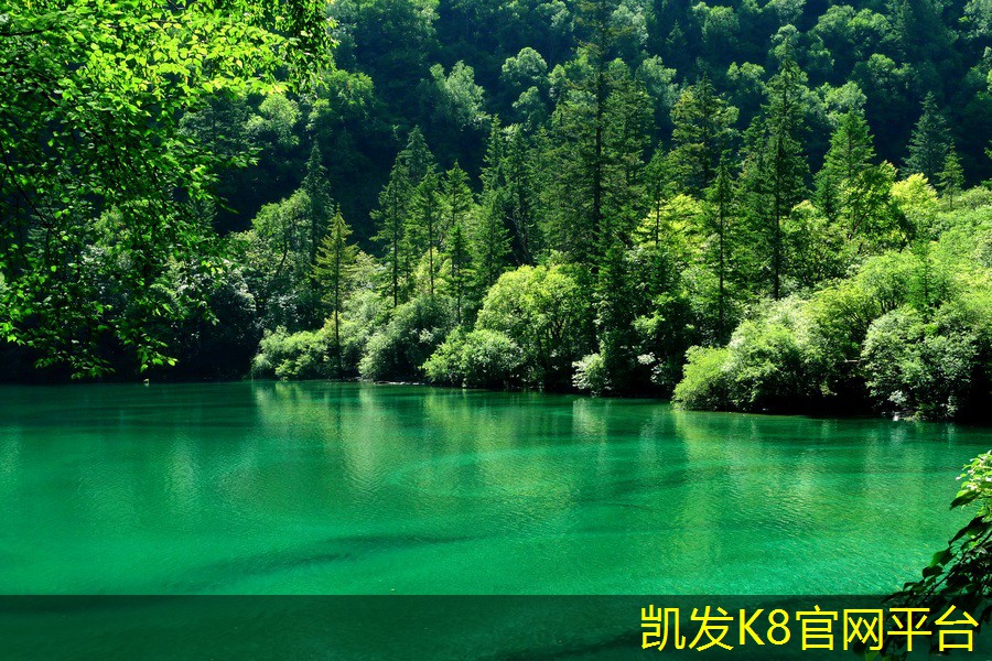  凯发k8国际登录厅球场地坪漆对不同运动项目的适应性