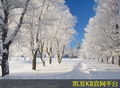  凯发K8官网平台注册运动地板的耐用性和保养方法