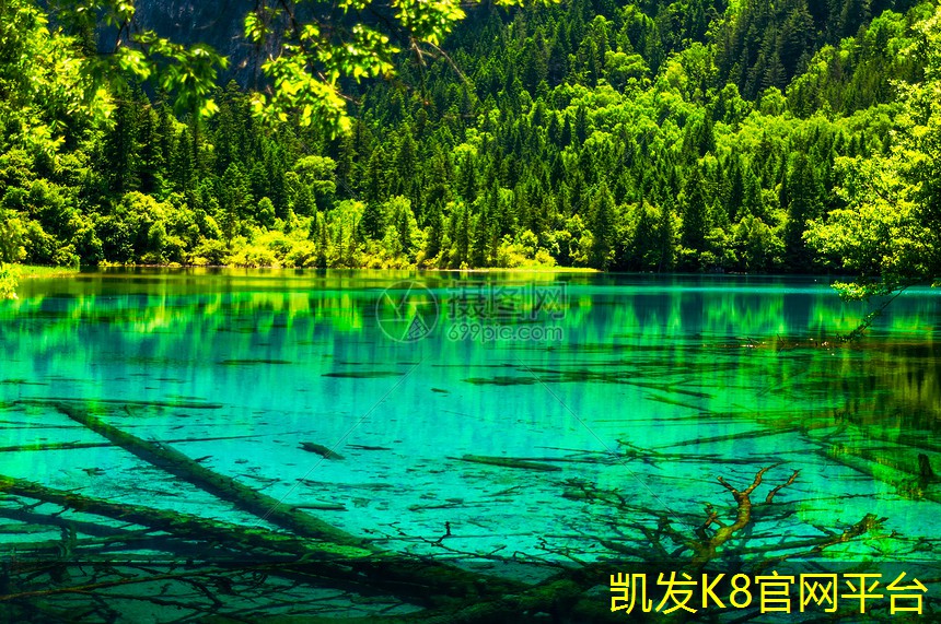 地面起砂修复的常见误区