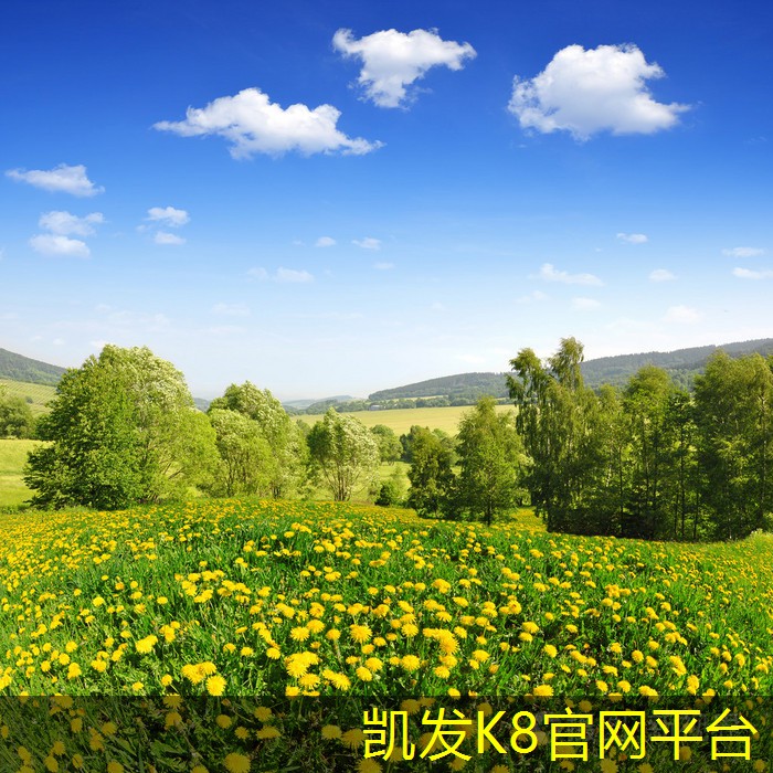 塑胶地板在商业环境中的应用