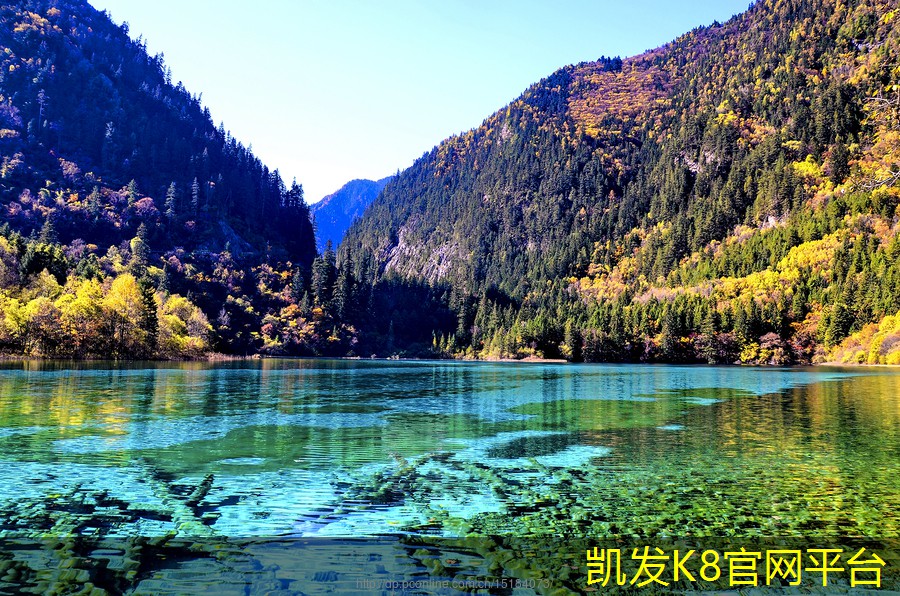 塑胶地板的安装费用与预算管理