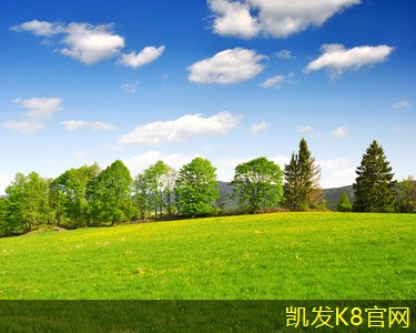 如何去除地毯上的污渍