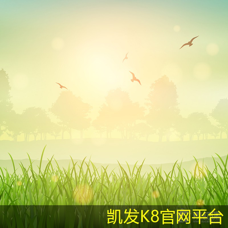如何处理地毯清洗后的干燥问题