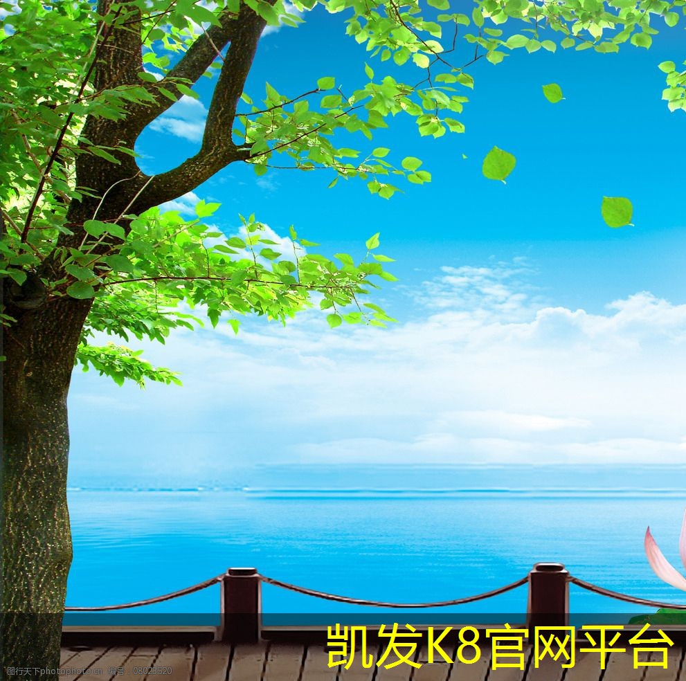 如何选择适合你球场的地坪漆