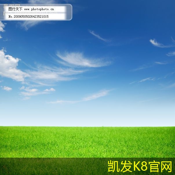 如何选择适合的广告垫提升品牌曝光率