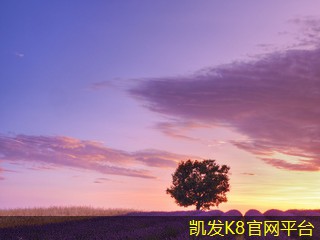 悬浮地板与传统地板的对比