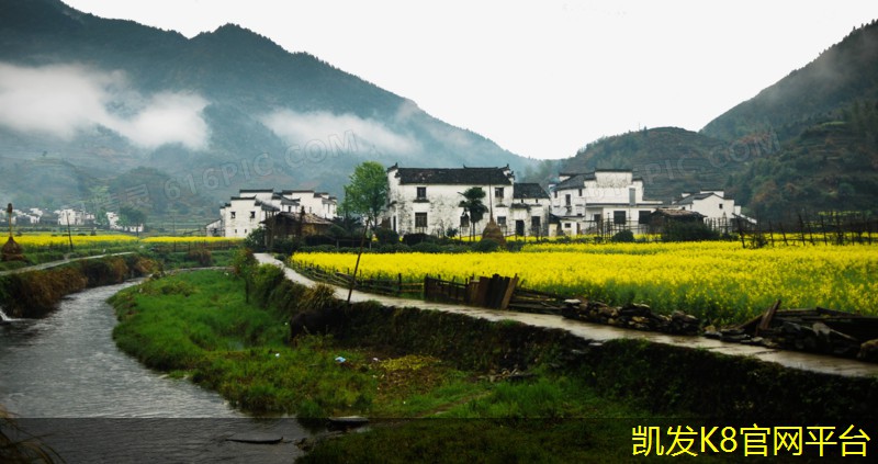 提升客厅风格的茶几地毯设计