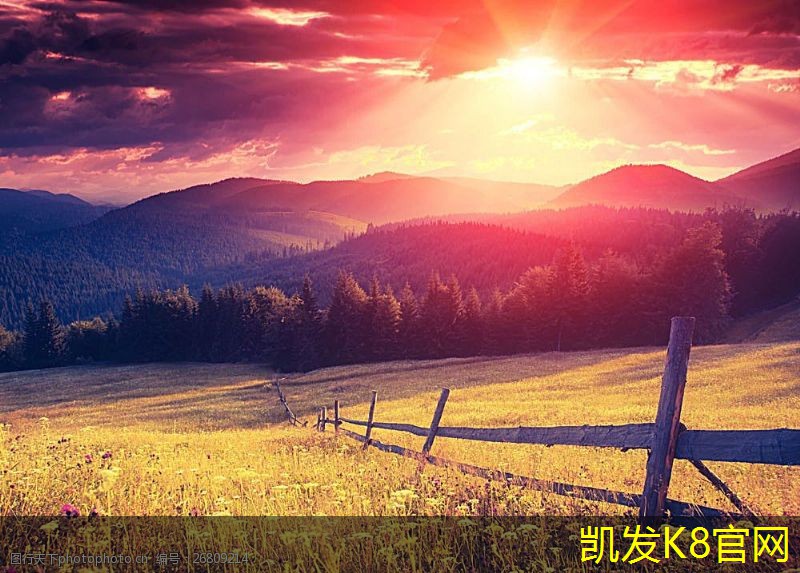汽车脚垫的防滑功能与安全性