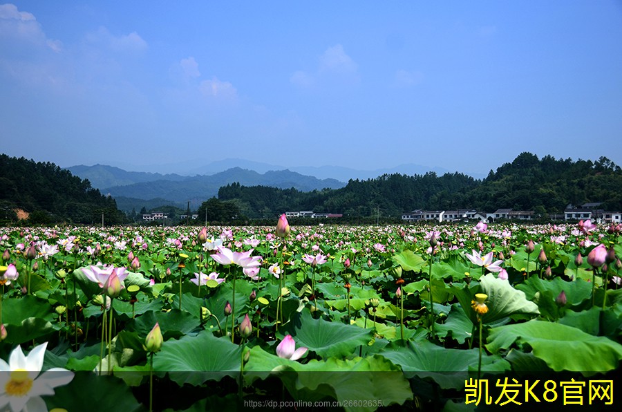 浴室垫的尺寸选择攻略