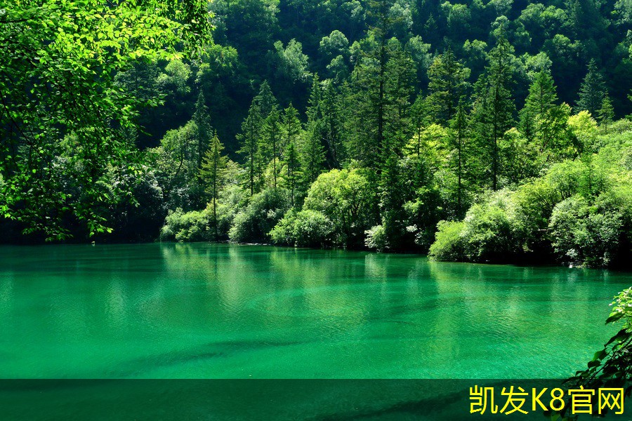 球场地坪漆对不同运动项目的适应性