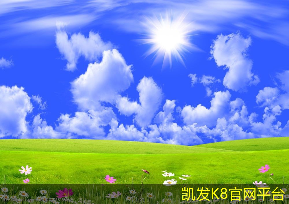球场地坪漆对不同运动项目的适应性