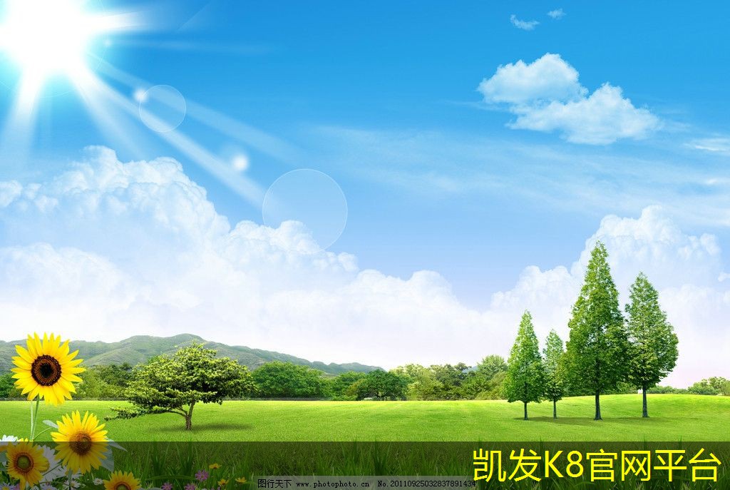 酒店地毯的清洁和维护技巧